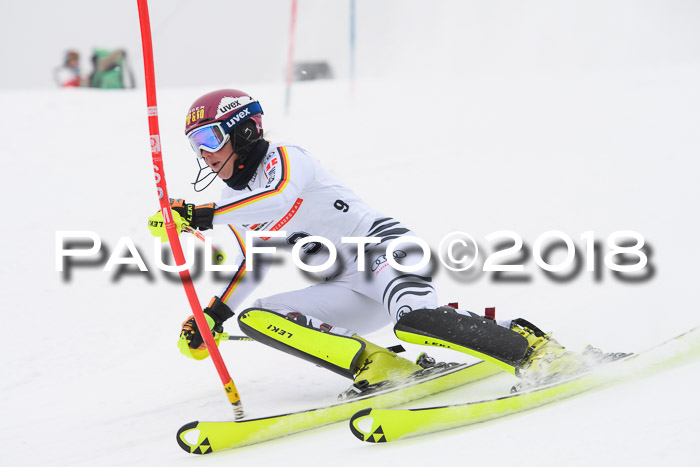 FIS Slalom Damen + Herren 23.02.2018