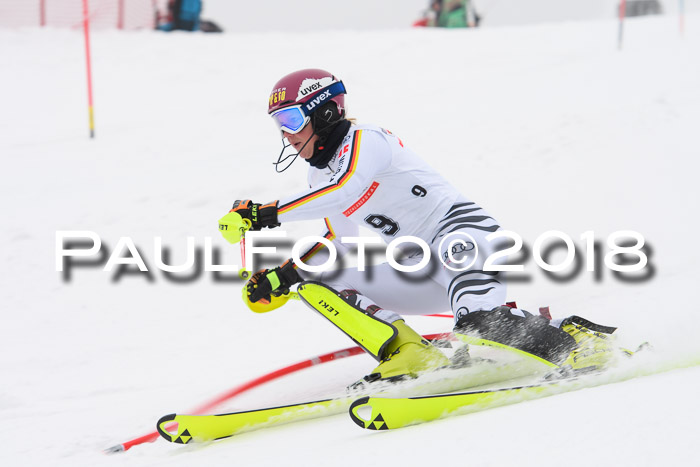 FIS Slalom Damen + Herren 23.02.2018