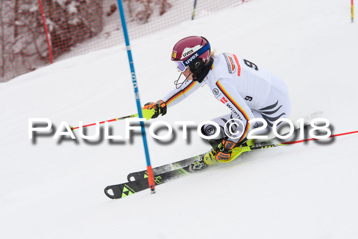 FIS Slalom Damen + Herren 23.02.2018