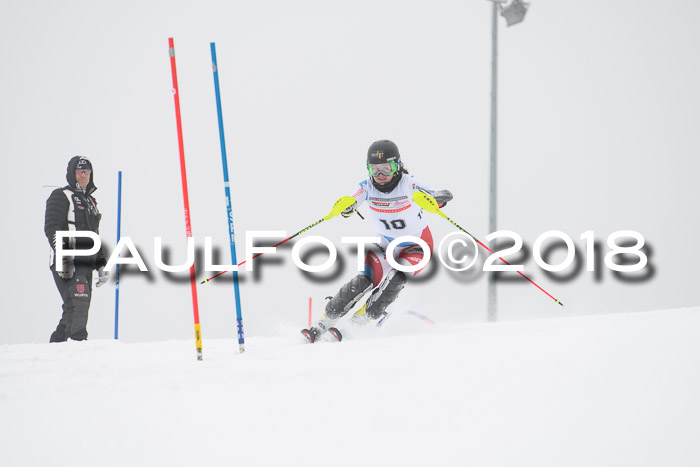 FIS Slalom Damen + Herren 23.02.2018