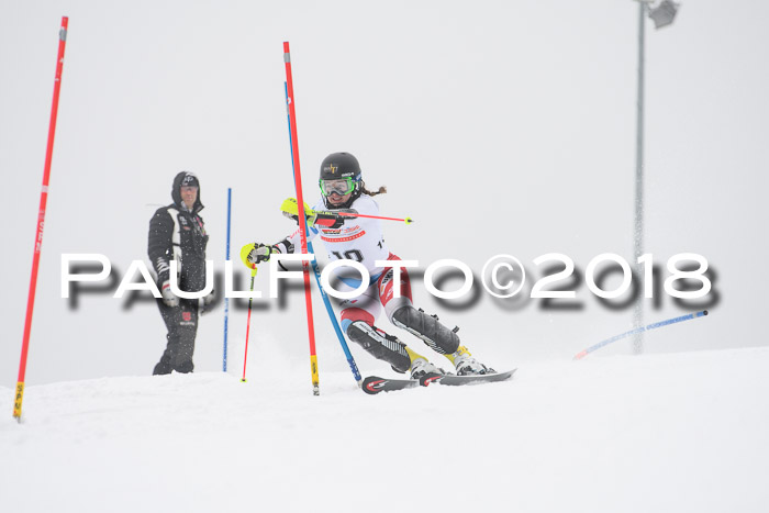 FIS Slalom Damen + Herren 23.02.2018