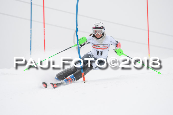 FIS Slalom Damen + Herren 23.02.2018