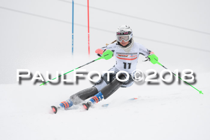 FIS Slalom Damen + Herren 23.02.2018