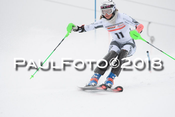 FIS Slalom Damen + Herren 23.02.2018