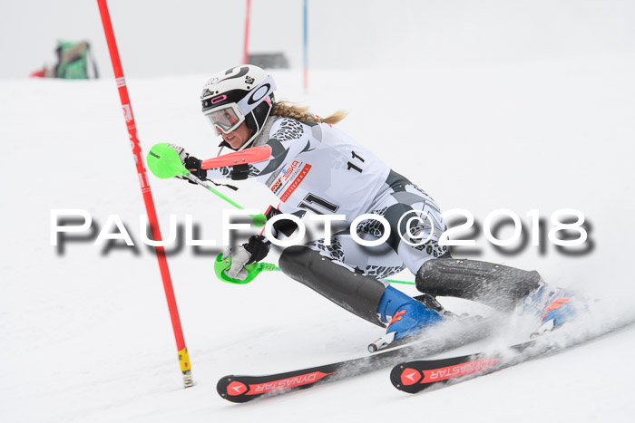 FIS Slalom Damen + Herren 23.02.2018