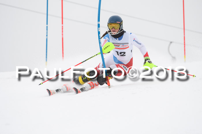 FIS Slalom Damen + Herren 23.02.2018