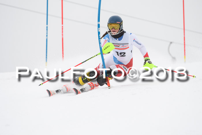 FIS Slalom Damen + Herren 23.02.2018