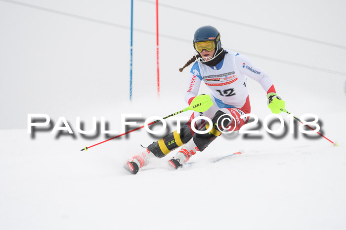 FIS Slalom Damen + Herren 23.02.2018