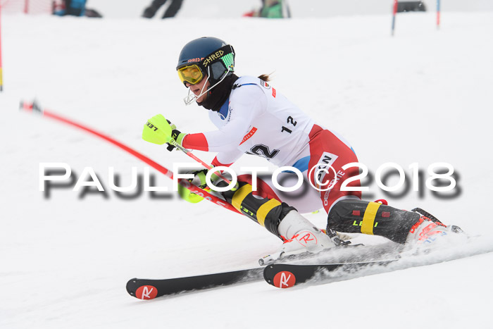 FIS Slalom Damen + Herren 23.02.2018