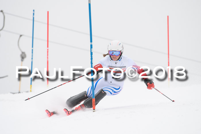 FIS Slalom Damen + Herren 23.02.2018