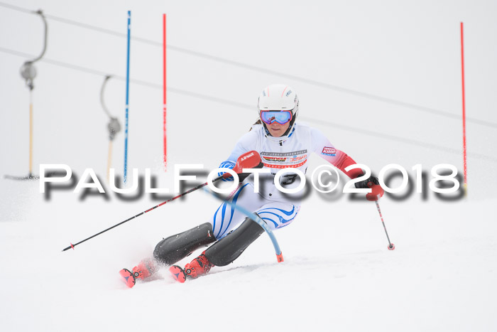 FIS Slalom Damen + Herren 23.02.2018