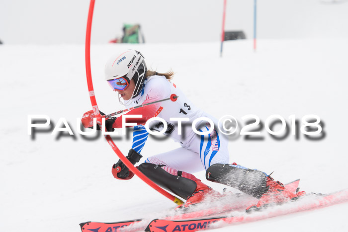 FIS Slalom Damen + Herren 23.02.2018