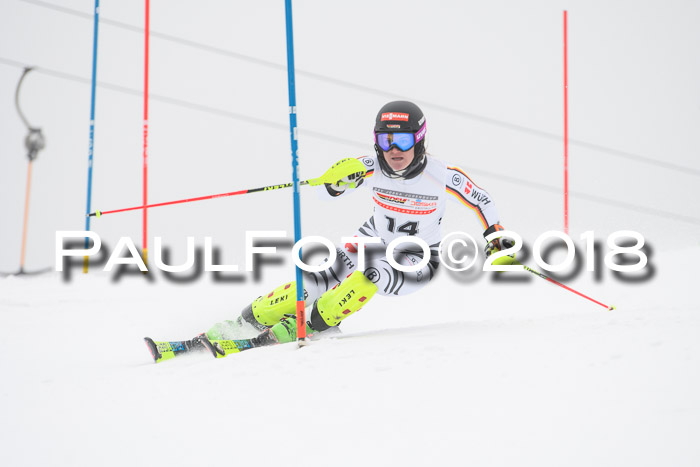 FIS Slalom Damen + Herren 23.02.2018