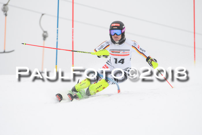 FIS Slalom Damen + Herren 23.02.2018