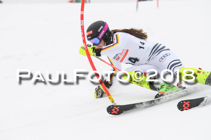 FIS Slalom Damen + Herren 23.02.2018