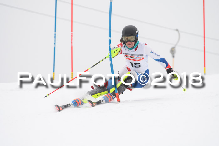 FIS Slalom Damen + Herren 23.02.2018