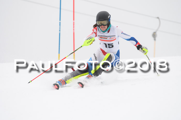 FIS Slalom Damen + Herren 23.02.2018