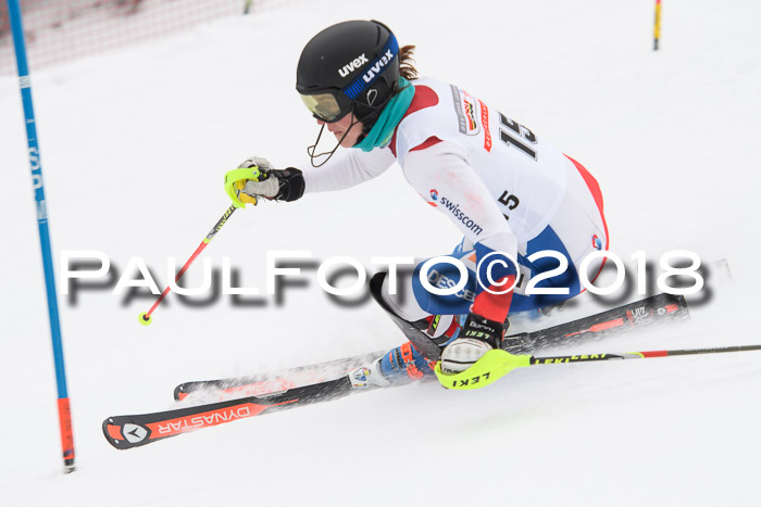 FIS Slalom Damen + Herren 23.02.2018