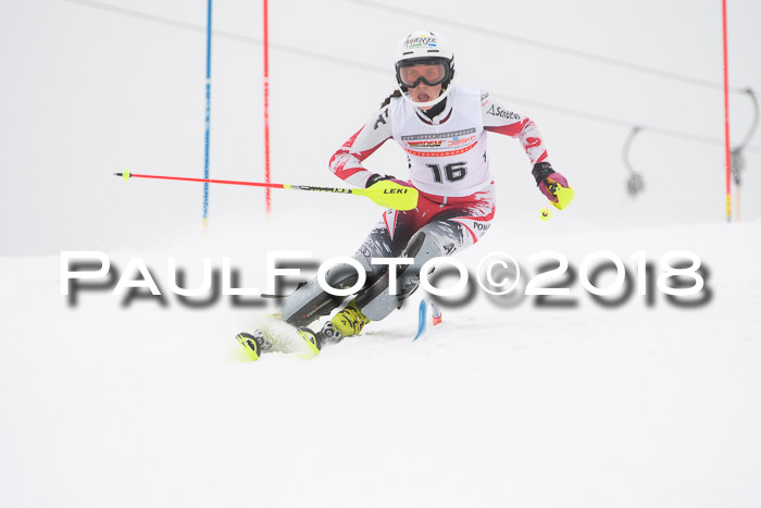 FIS Slalom Damen + Herren 23.02.2018