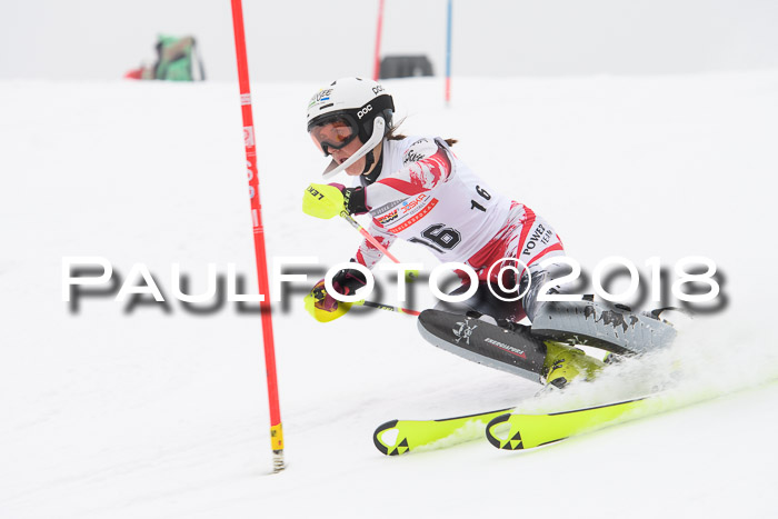 FIS Slalom Damen + Herren 23.02.2018