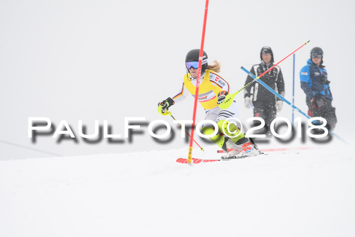 FIS Slalom Damen + Herren 23.02.2018
