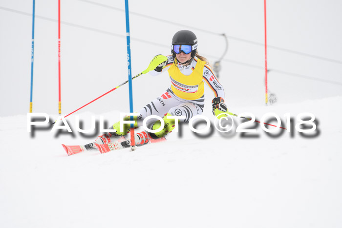 FIS Slalom Damen + Herren 23.02.2018
