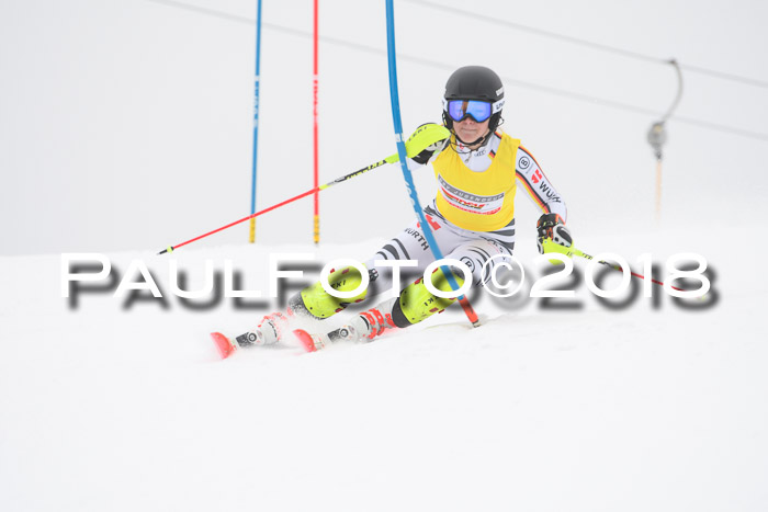 FIS Slalom Damen + Herren 23.02.2018