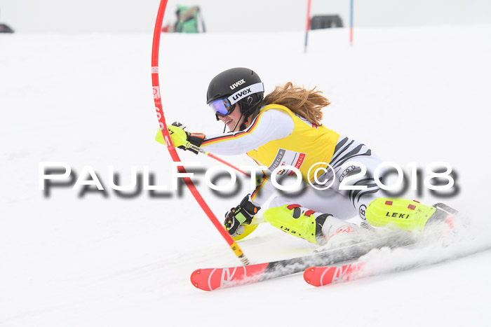 FIS Slalom Damen + Herren 23.02.2018