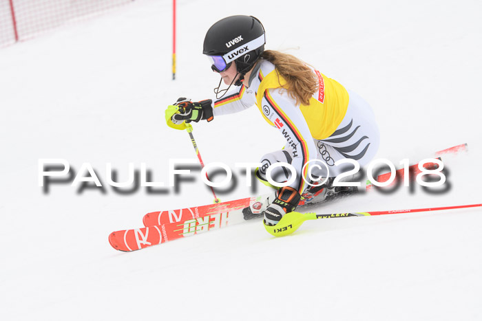 FIS Slalom Damen + Herren 23.02.2018