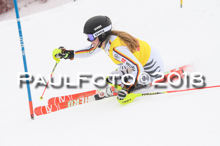 FIS Slalom Damen + Herren 23.02.2018