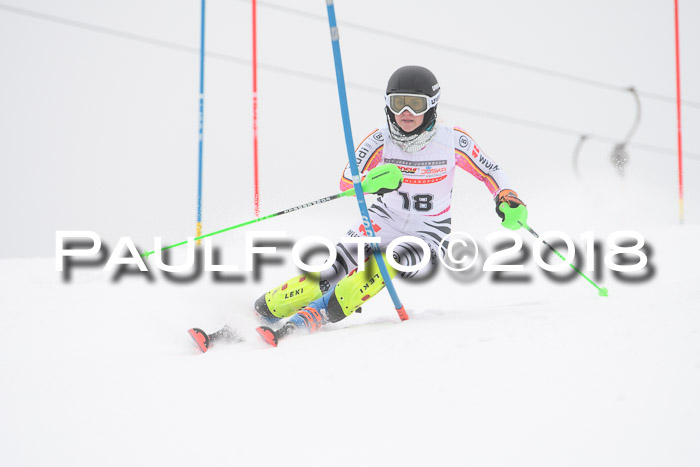 FIS Slalom Damen + Herren 23.02.2018