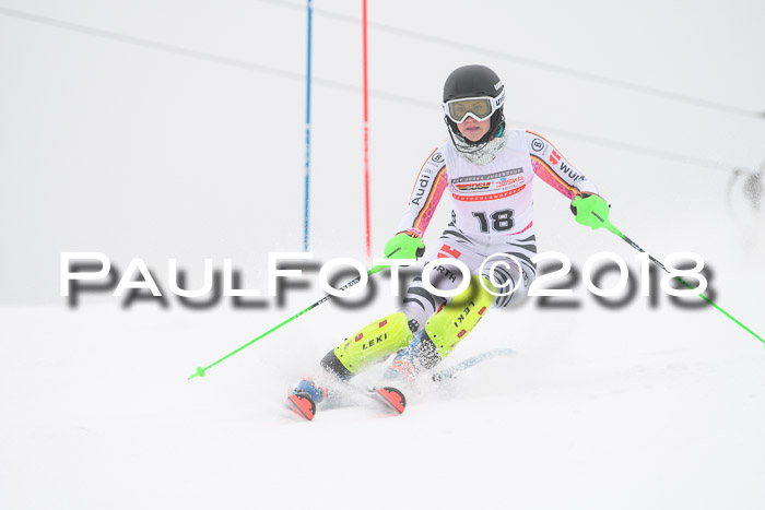 FIS Slalom Damen + Herren 23.02.2018