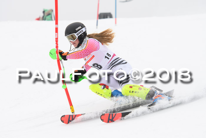 FIS Slalom Damen + Herren 23.02.2018
