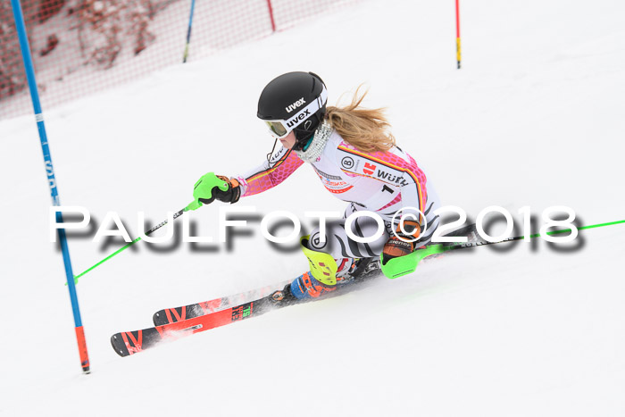 FIS Slalom Damen + Herren 23.02.2018