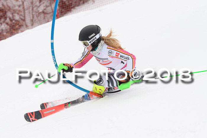 FIS Slalom Damen + Herren 23.02.2018