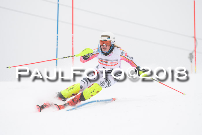 FIS Slalom Damen + Herren 23.02.2018
