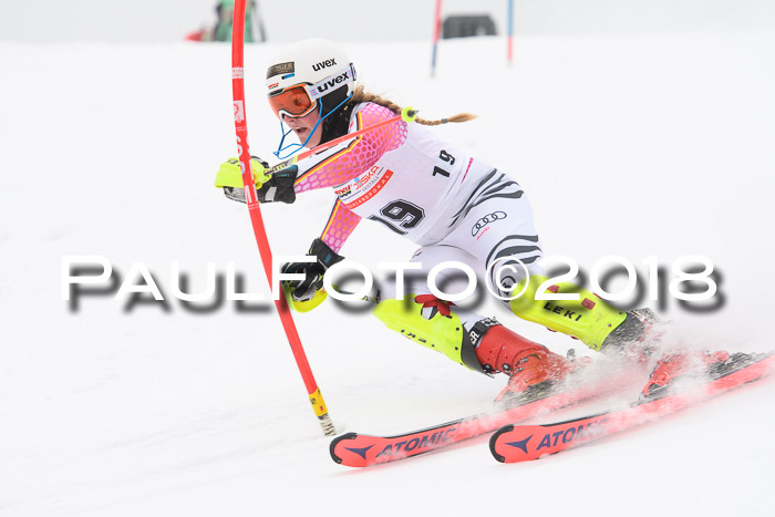 FIS Slalom Damen + Herren 23.02.2018