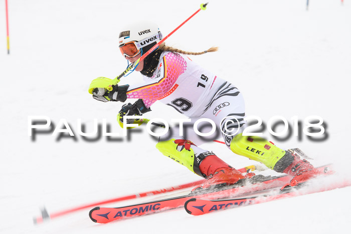 FIS Slalom Damen + Herren 23.02.2018