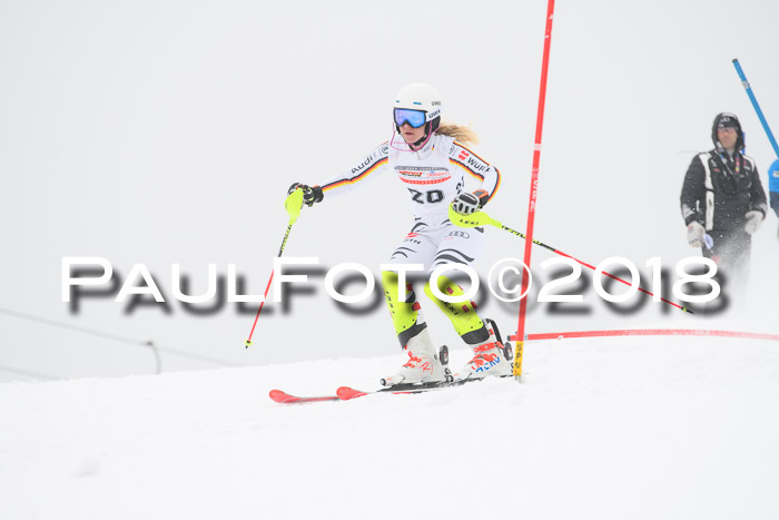 FIS Slalom Damen + Herren 23.02.2018