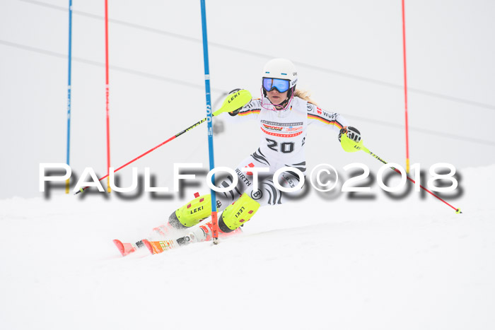FIS Slalom Damen + Herren 23.02.2018