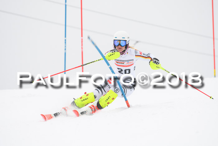 FIS Slalom Damen + Herren 23.02.2018
