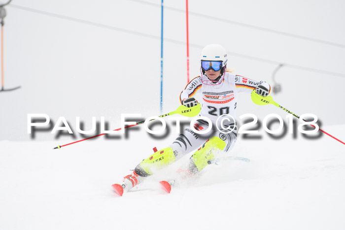 FIS Slalom Damen + Herren 23.02.2018