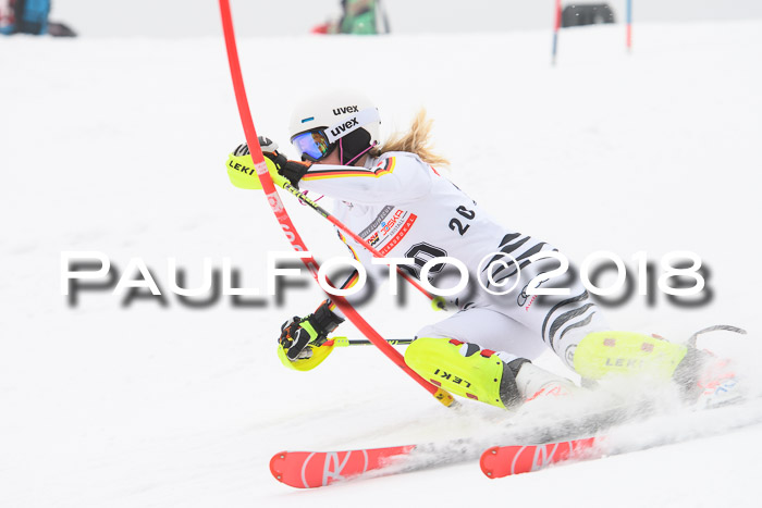 FIS Slalom Damen + Herren 23.02.2018
