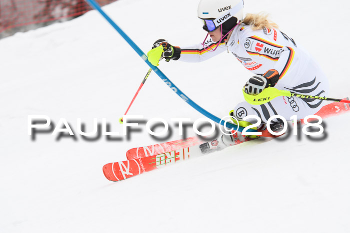 FIS Slalom Damen + Herren 23.02.2018