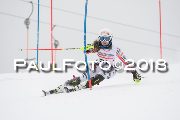 FIS Slalom Damen + Herren 23.02.2018