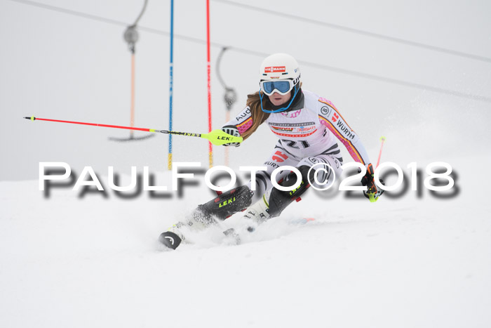 FIS Slalom Damen + Herren 23.02.2018