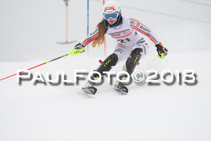 FIS Slalom Damen + Herren 23.02.2018