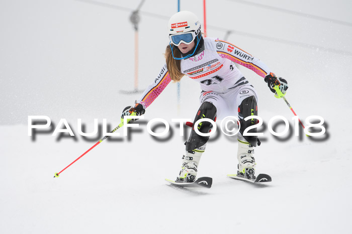 FIS Slalom Damen + Herren 23.02.2018