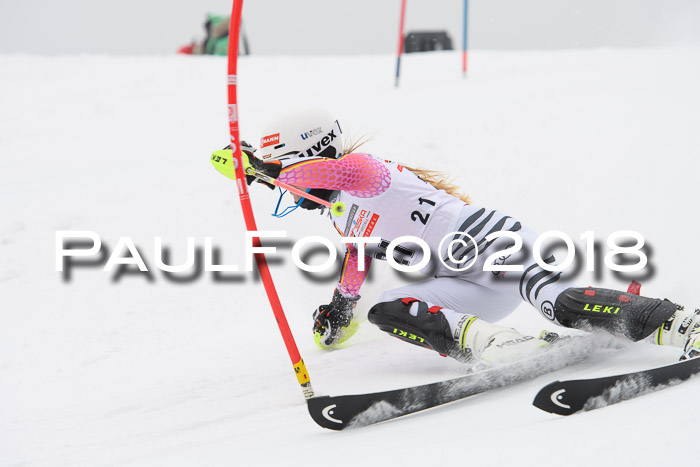 FIS Slalom Damen + Herren 23.02.2018