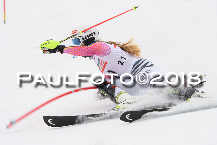 FIS Slalom Damen + Herren 23.02.2018